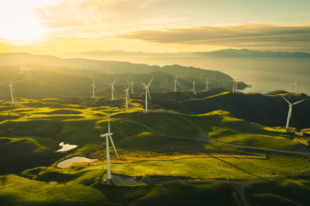 Renzo Bahury de Souza Ramos