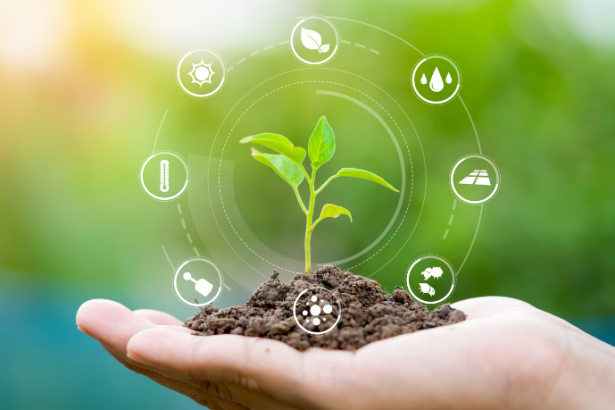 Fernando Trabach Filho mostra como a inteligência artificial está revolucionando o campo com algoritmos que impulsionam a produtividade.